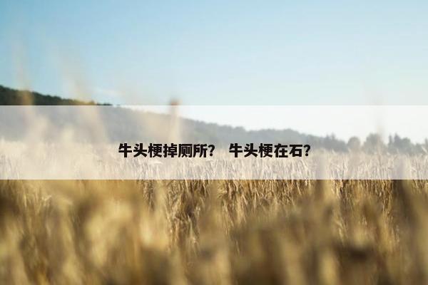 牛头梗掉厕所？ 牛头梗在石？