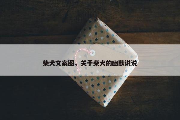 柴犬文案图，关于柴犬的幽默说说