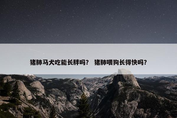猪肺马犬吃能长胖吗？ 猪肺喂狗长得快吗？