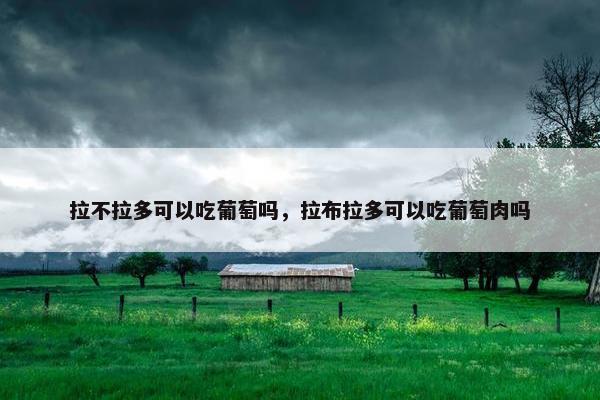 拉不拉多可以吃葡萄吗，拉布拉多可以吃葡萄肉吗
