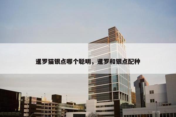 暹罗猫银点哪个聪明，暹罗和银点配种