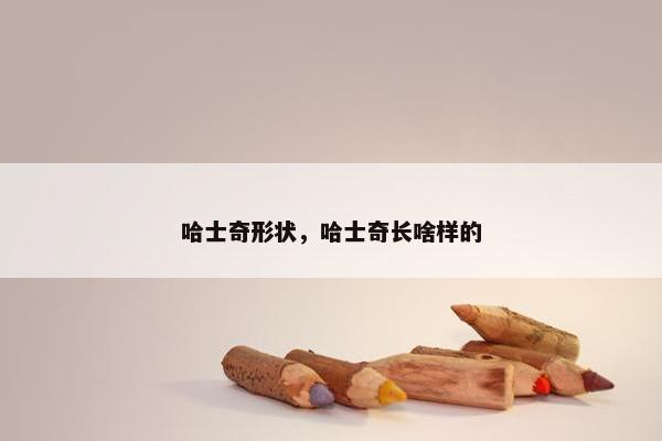 哈士奇形状，哈士奇长啥样的