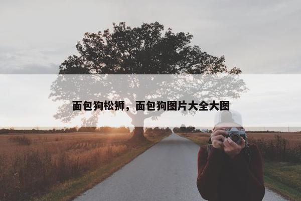 面包狗松狮，面包狗图片大全大图