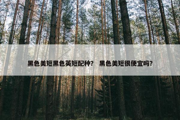 黑色美短黑色英短配种？ 黑色美短很便宜吗？