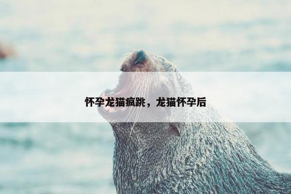 怀孕龙猫疯跳，龙猫怀孕后