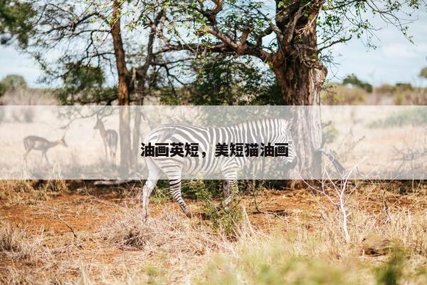 油画英短，美短猫油画