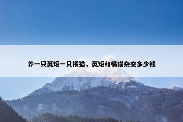 养一只英短一只橘猫，英短和橘猫杂交多少钱