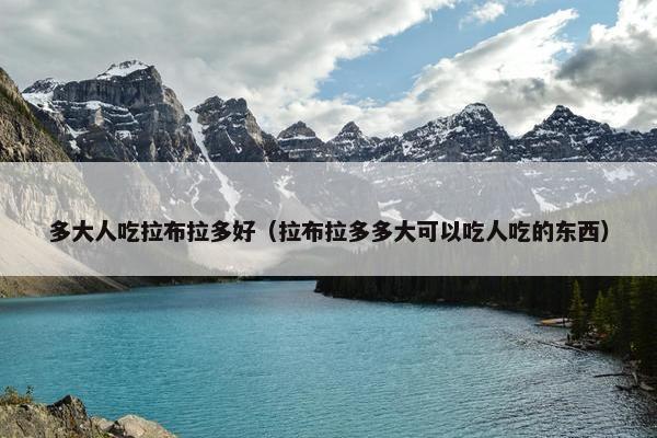 多大人吃拉布拉多好（拉布拉多多大可以吃人吃的东西）