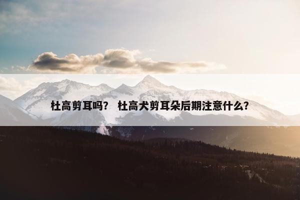 杜高剪耳吗？ 杜高犬剪耳朵后期注意什么？
