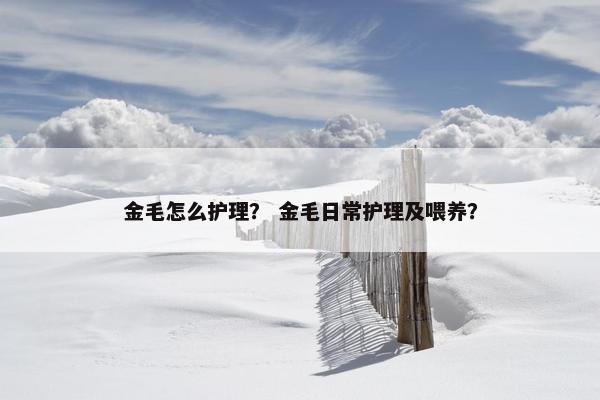 金毛怎么护理？ 金毛日常护理及喂养？