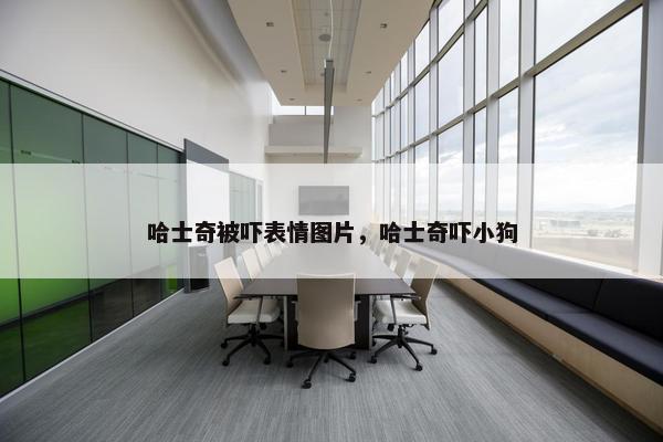 哈士奇被吓表情图片，哈士奇吓小狗
