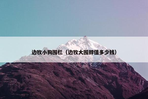 边牧小狗围栏（边牧大围脖值多少钱）