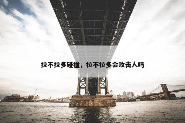 拉不拉多碰撞，拉不拉多会攻击人吗