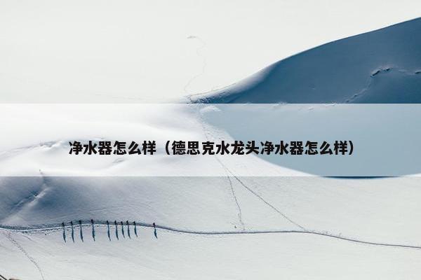 净水器怎么样（德思克水龙头净水器怎么样）