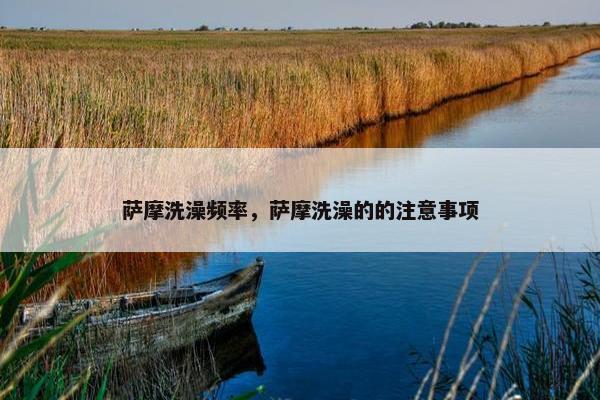 萨摩洗澡频率，萨摩洗澡的的注意事项