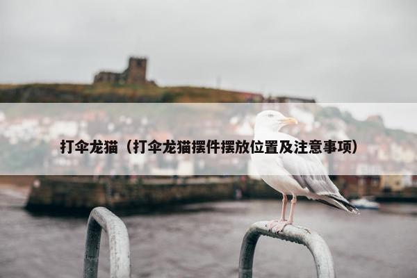 打伞龙猫（打伞龙猫摆件摆放位置及注意事项）