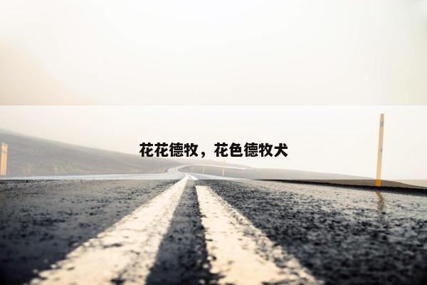 花花德牧，花色德牧犬