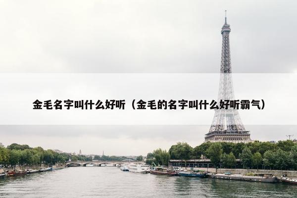 金毛名字叫什么好听（金毛的名字叫什么好听霸气）