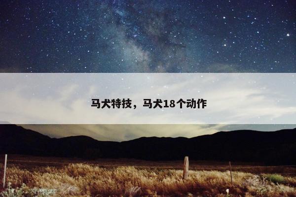 马犬特技，马犬18个动作