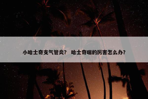 小哈士奇支气管炎？ 哈士奇喘的厉害怎么办？