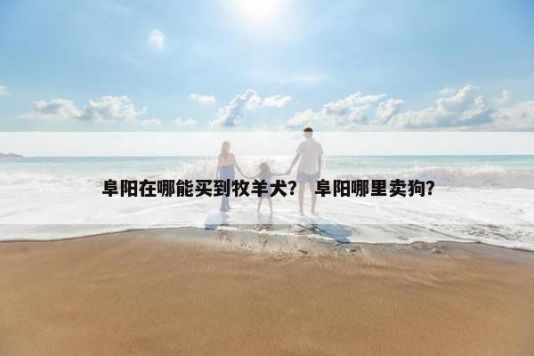 阜阳在哪能买到牧羊犬？ 阜阳哪里卖狗？