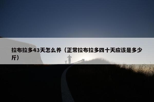 拉布拉多43天怎么养（正常拉布拉多四十天应该是多少斤）