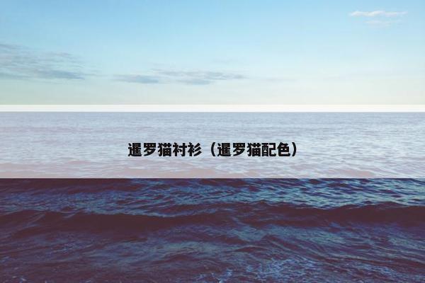 暹罗猫衬衫（暹罗猫配色）