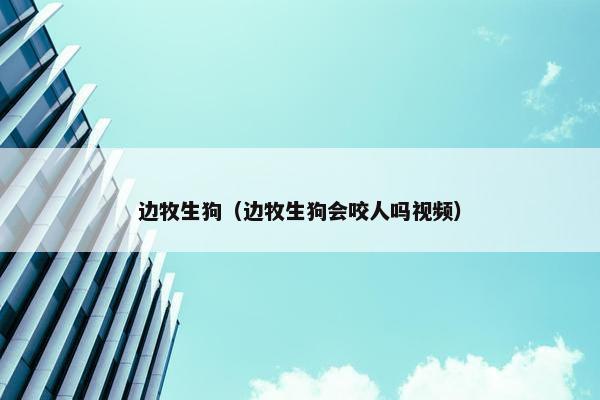 边牧生狗（边牧生狗会咬人吗视频）