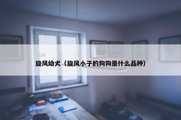 旋风幼犬（旋风小子的狗狗是什么品种）