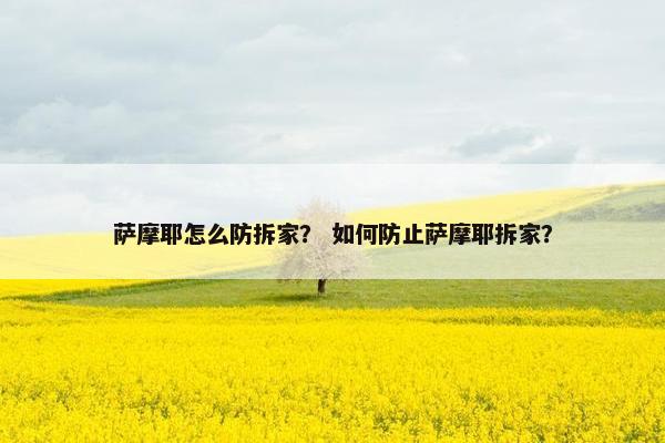 萨摩耶怎么防拆家？ 如何防止萨摩耶拆家？