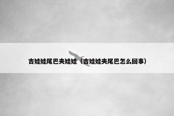 吉娃娃尾巴夹娃娃（吉娃娃夹尾巴怎么回事）