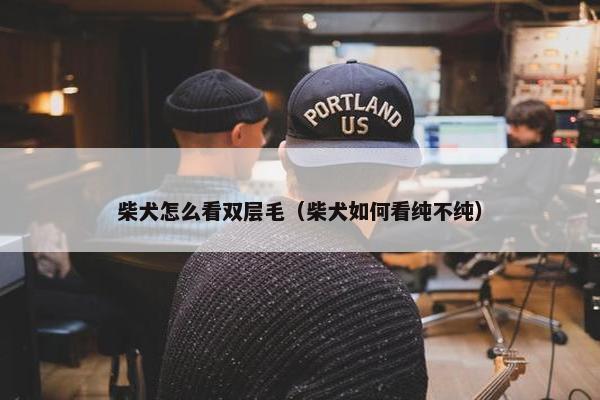 柴犬怎么看双层毛（柴犬如何看纯不纯）