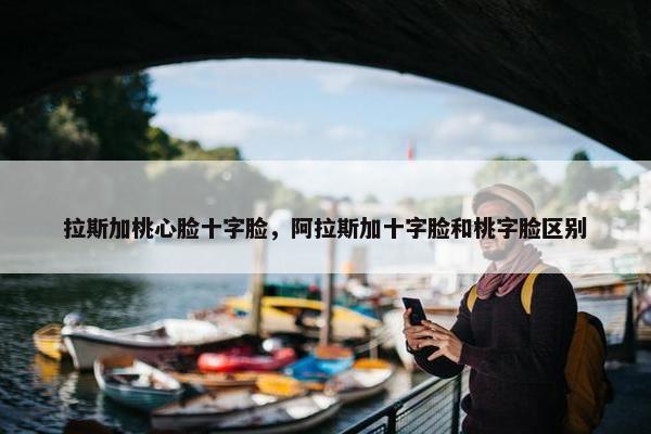 拉斯加桃心脸十字脸，阿拉斯加十字脸和桃字脸区别