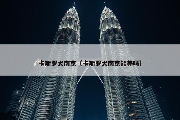 卡斯罗犬南京（卡斯罗犬南京能养吗）
