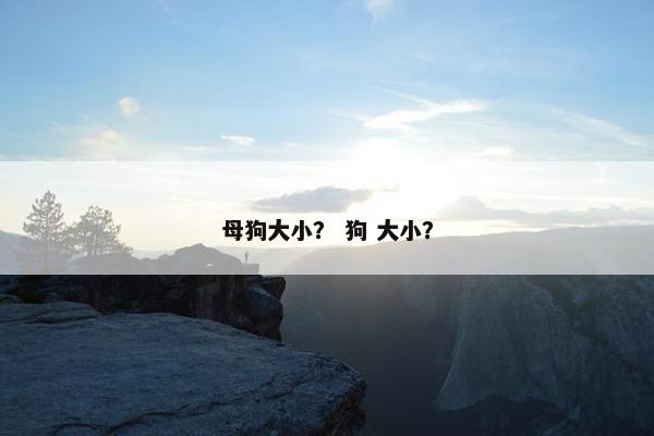 母狗大小？ 狗 大小？