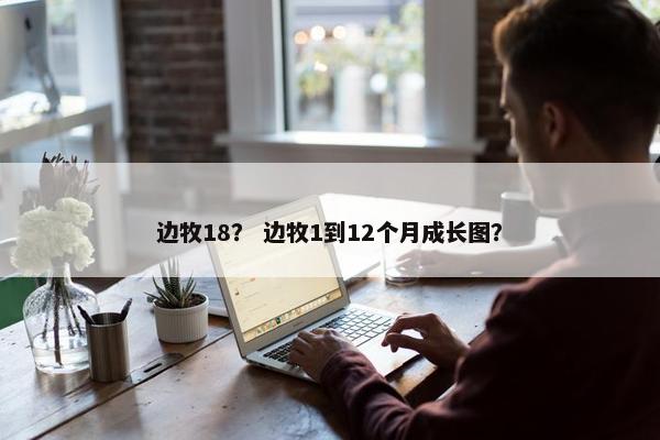 边牧18？ 边牧1到12个月成长图？