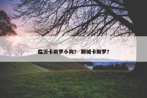 临沂卡斯罗小狗？ 聊城卡斯罗？