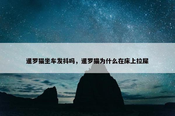 暹罗猫坐车发抖吗，暹罗猫为什么在床上拉屎