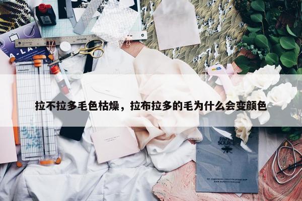 拉不拉多毛色枯燥，拉布拉多的毛为什么会变颜色