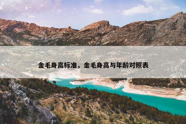 金毛身高标准，金毛身高与年龄对照表
