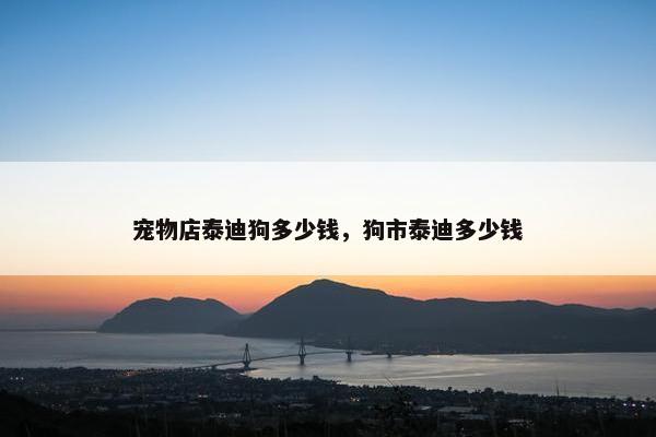 宠物店泰迪狗多少钱，狗市泰迪多少钱