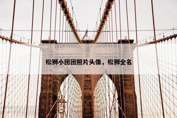 松狮小团团照片头像，松狮全名