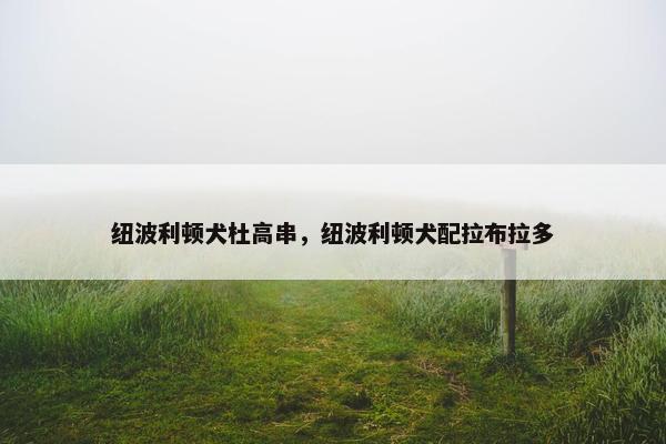 纽波利顿犬杜高串，纽波利顿犬配拉布拉多