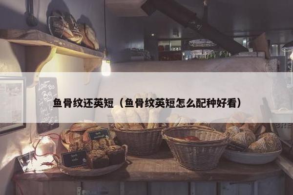 鱼骨纹还英短（鱼骨纹英短怎么配种好看）