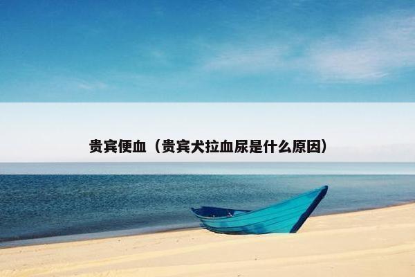 贵宾便血（贵宾犬拉血尿是什么原因）
