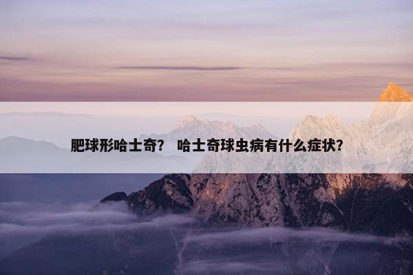 肥球形哈士奇？ 哈士奇球虫病有什么症状？
