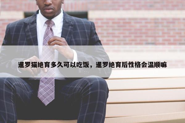 暹罗猫绝育多久可以吃饭，暹罗绝育后性格会温顺嘛