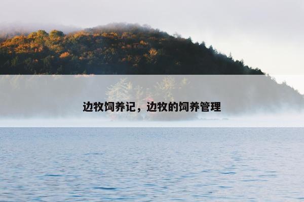 边牧饲养记，边牧的饲养管理