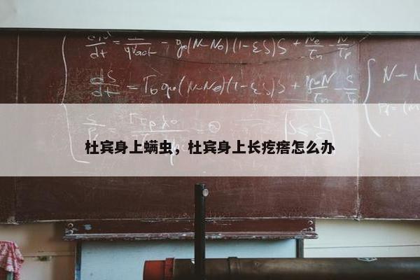 杜宾身上螨虫，杜宾身上长疙瘩怎么办