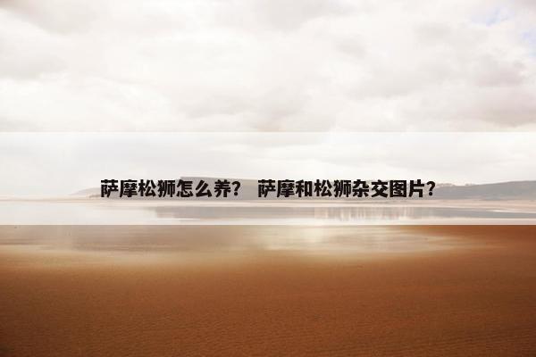 萨摩松狮怎么养？ 萨摩和松狮杂交图片？
